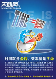 上海网页制作与市场营销策划 睿达网络的专业之道